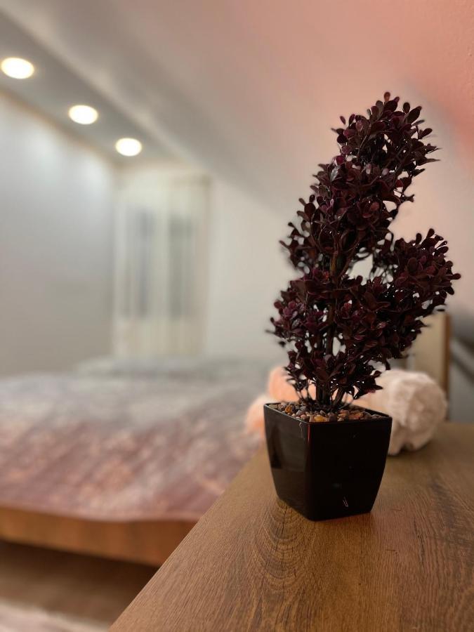 Luna Apartment ノヴィ・パザル エクステリア 写真