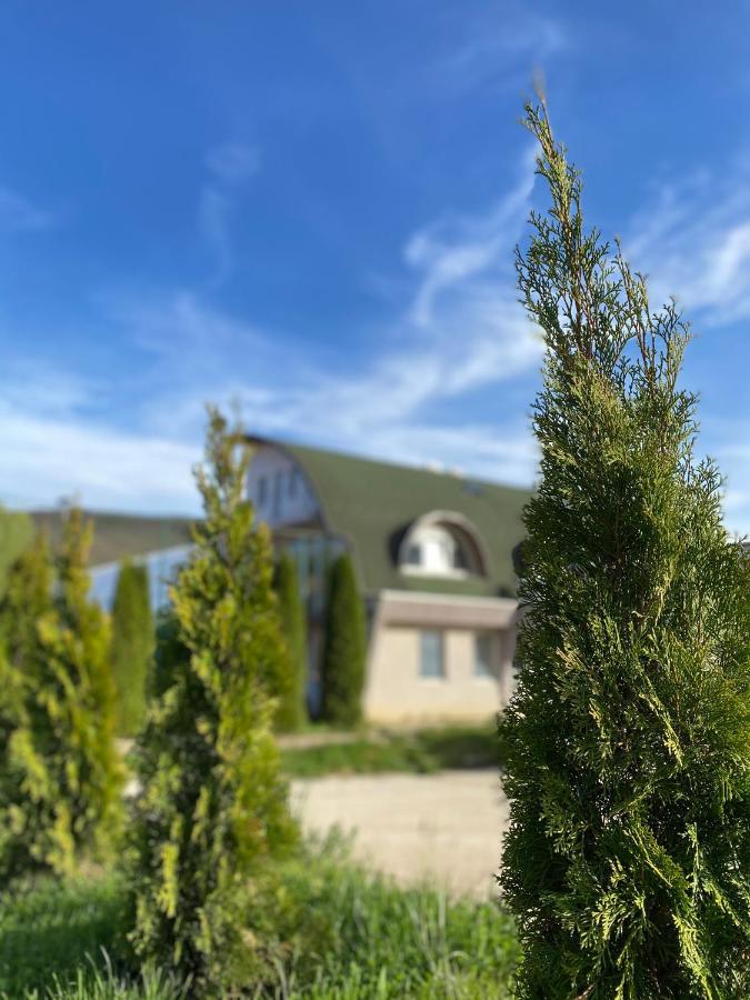 Luna Apartment ノヴィ・パザル エクステリア 写真